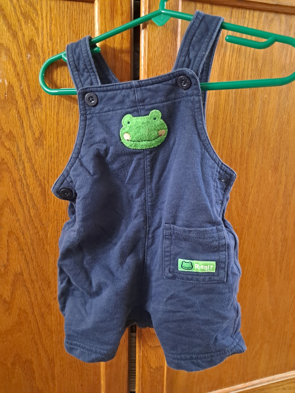 Toddler Navy Shortalls with Green Frog Patch